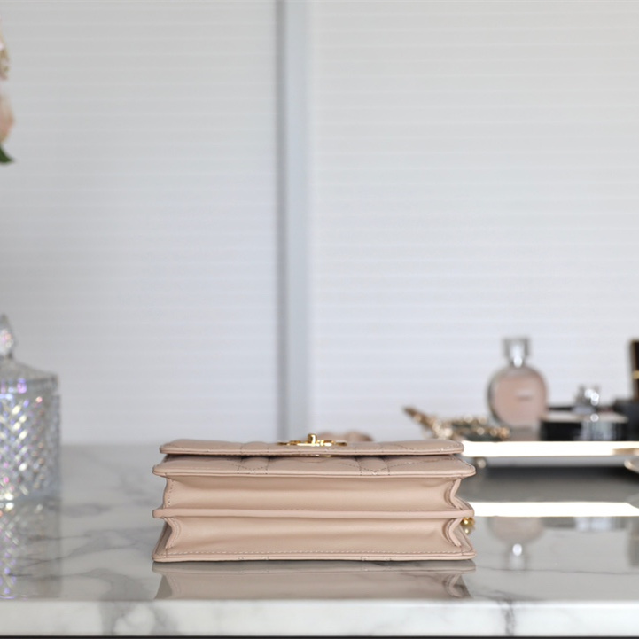 Dior 迪奧 Leather Goods
