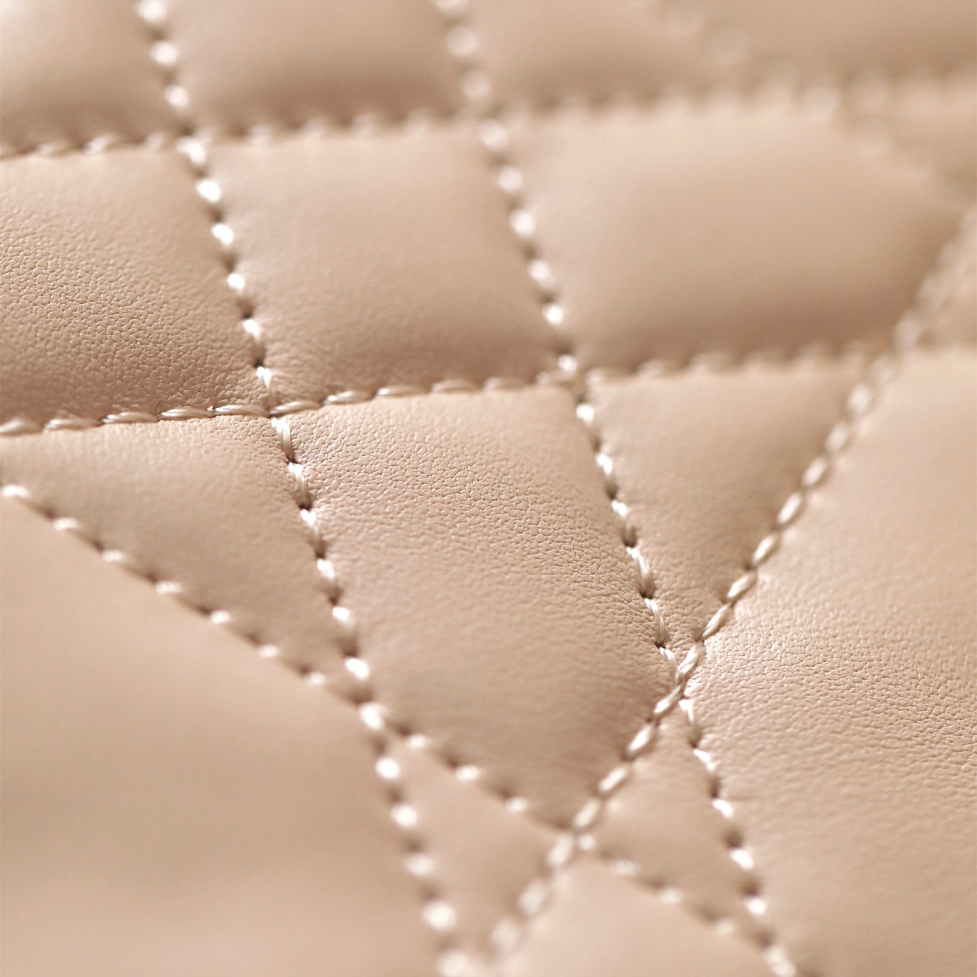Dior 迪奧 Leather Goods