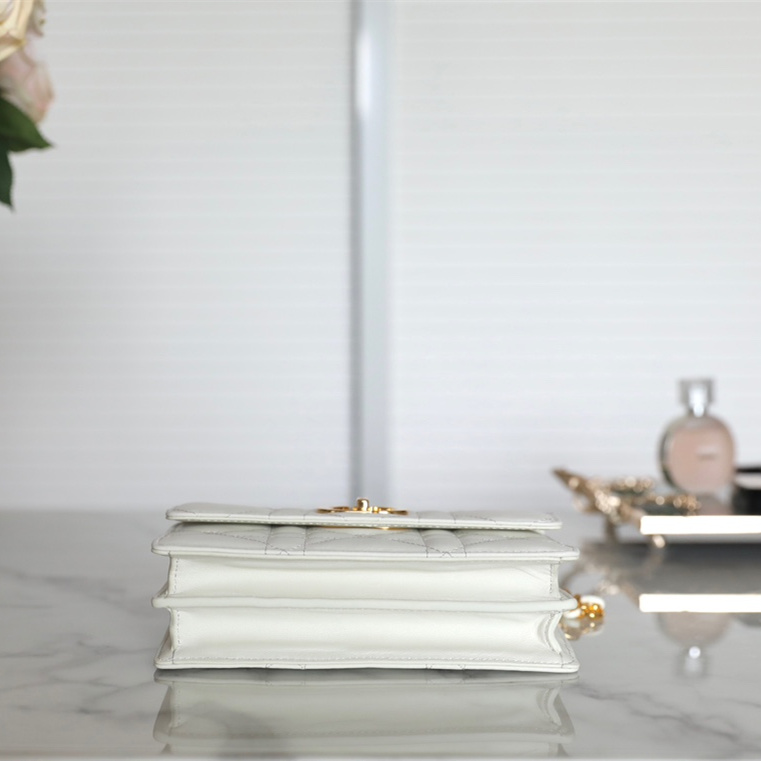Dior 迪奧 Leather Goods