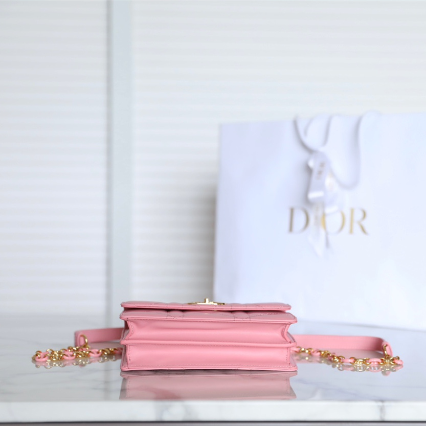 Dior 迪奧 Leather Goods