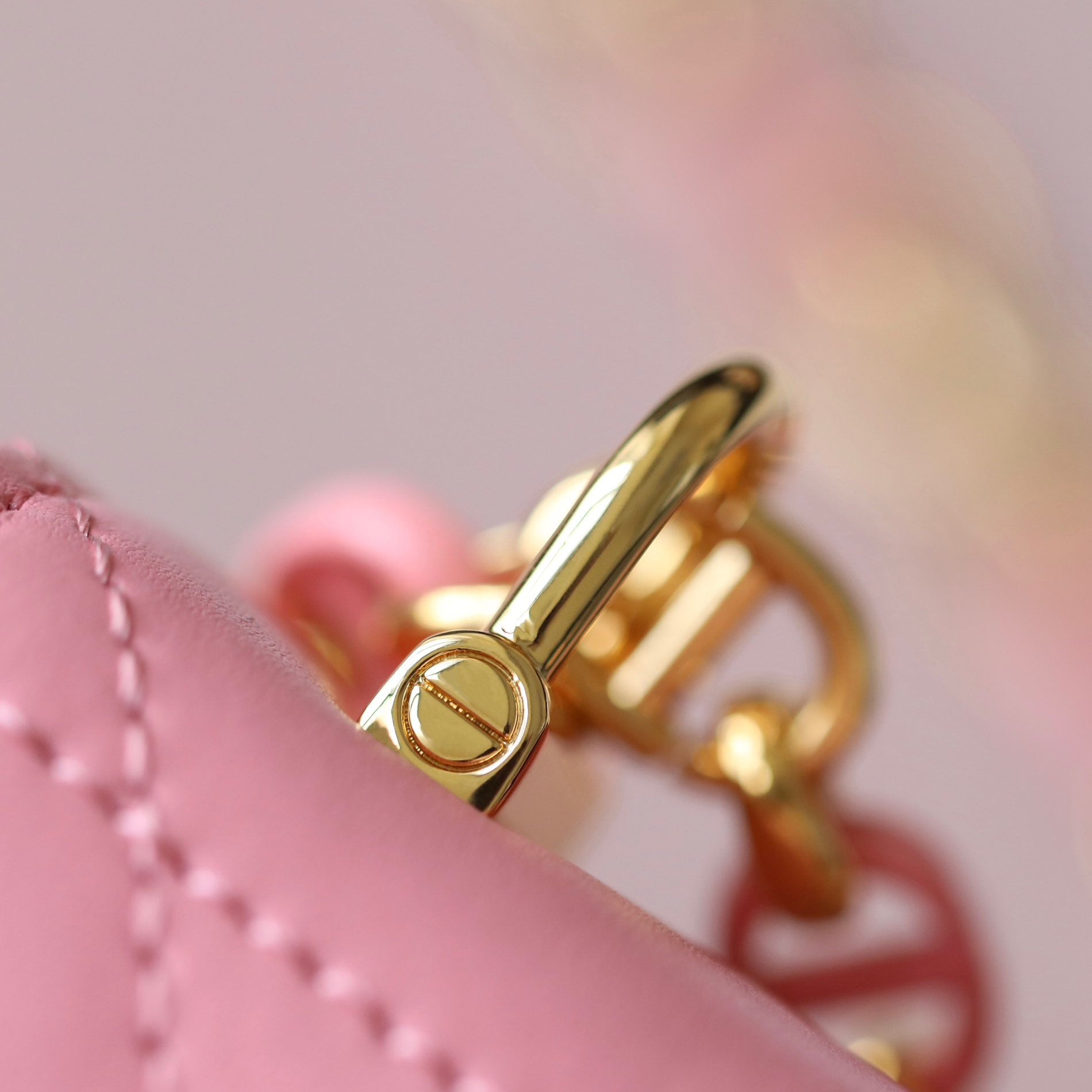 Dior 迪奧 Leather Goods