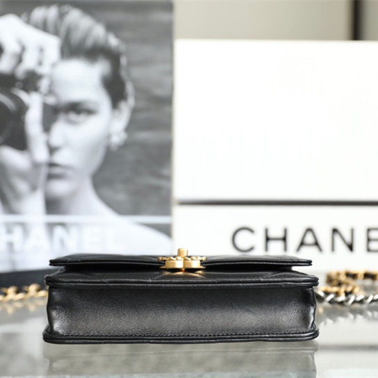 Chanel 香奈兒 Leather Goods