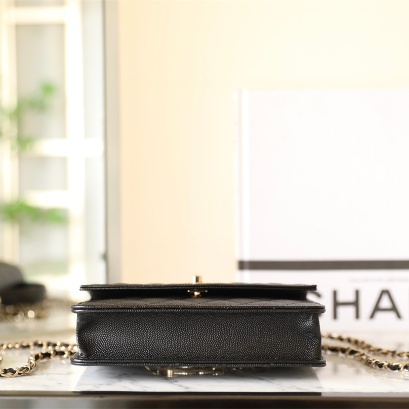 Chanel 香奈兒 Leather Goods