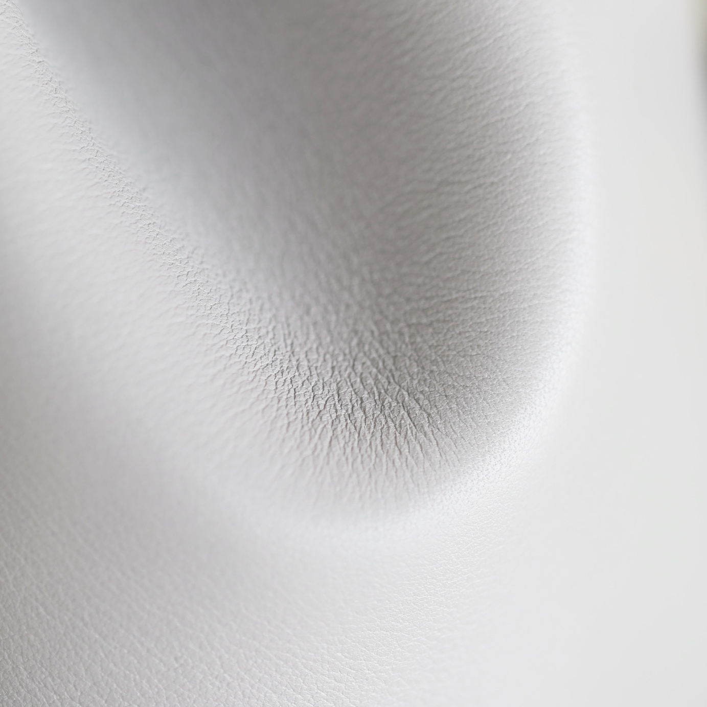 Chanel 香奈兒 Leather Goods