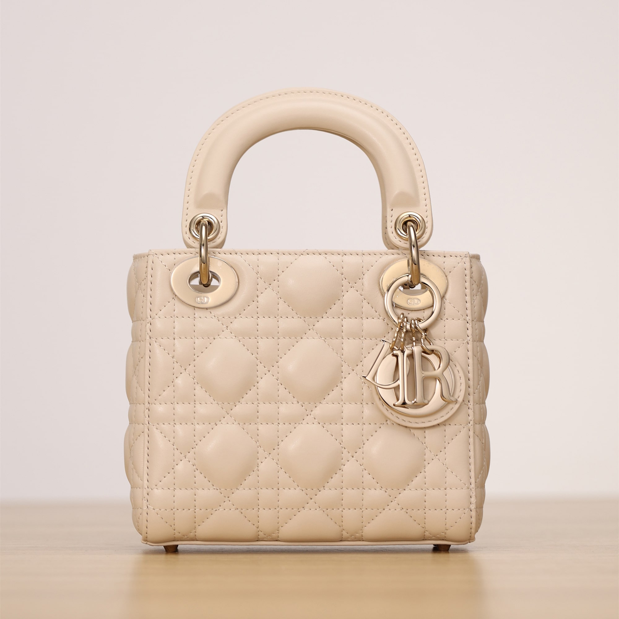 Dior 迪奧 Leather Goods