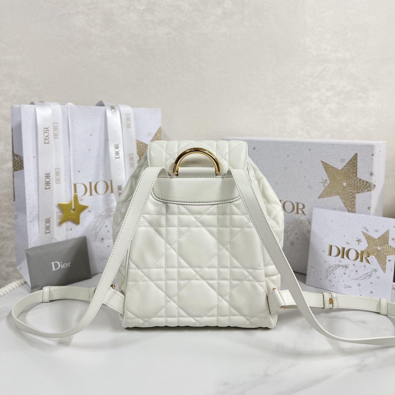 Dior 迪奧 Leather Goods