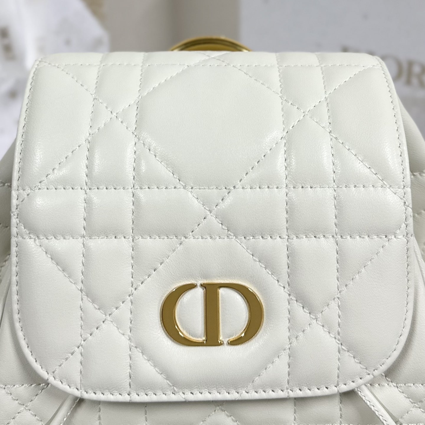 Dior 迪奧 Leather Goods