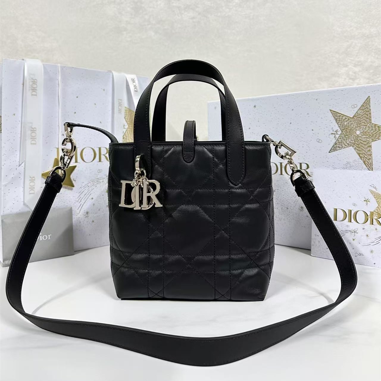 Dior 迪奧 Leather Goods