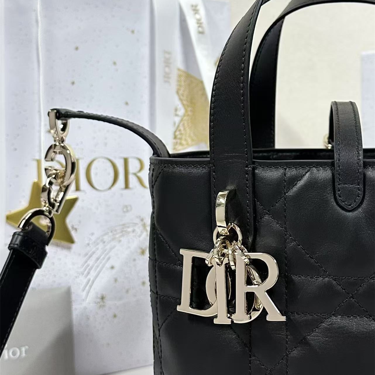 Dior 迪奧 Leather Goods