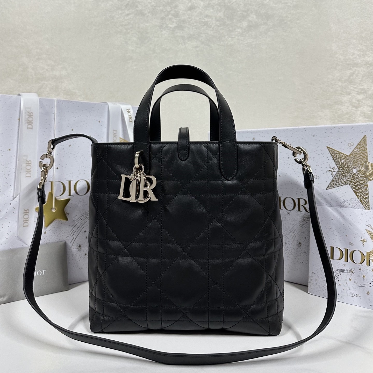 Dior 迪奧 Leather Goods