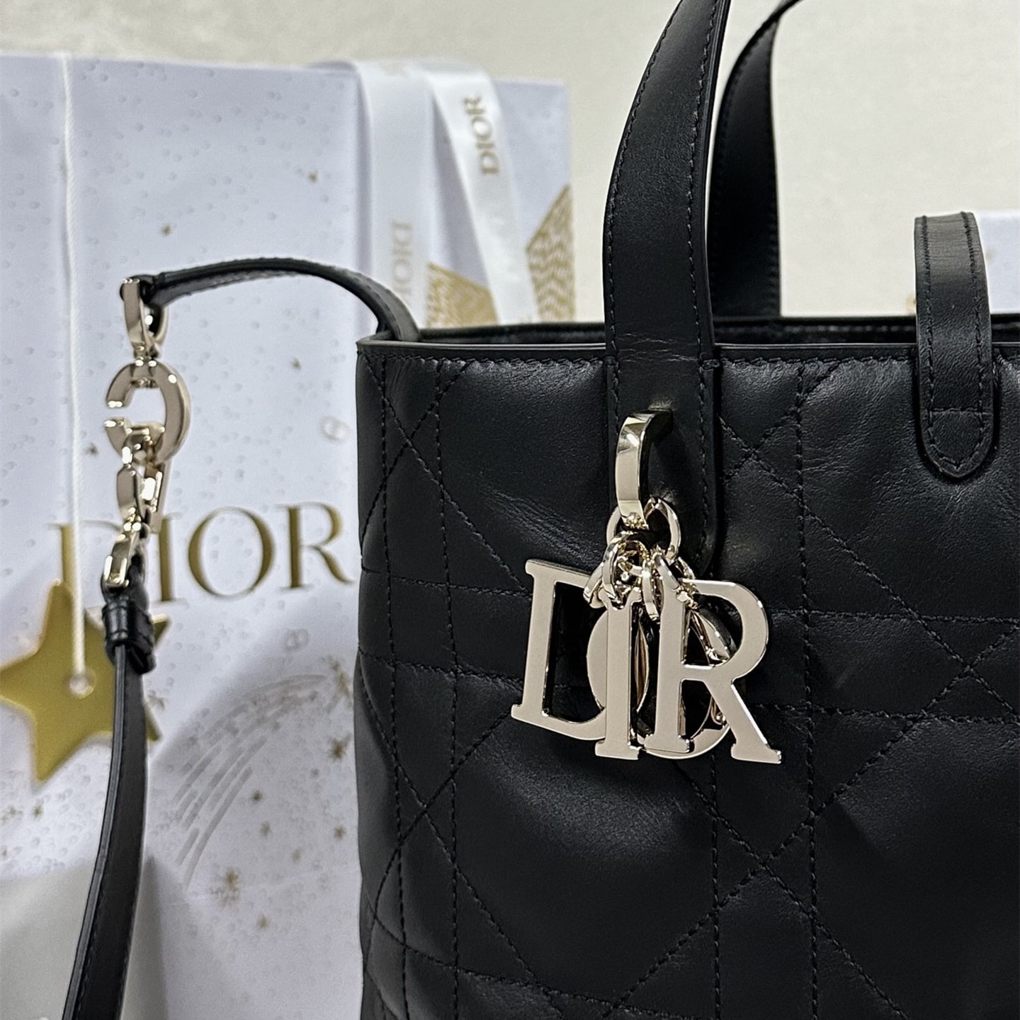 Dior 迪奧 Leather Goods