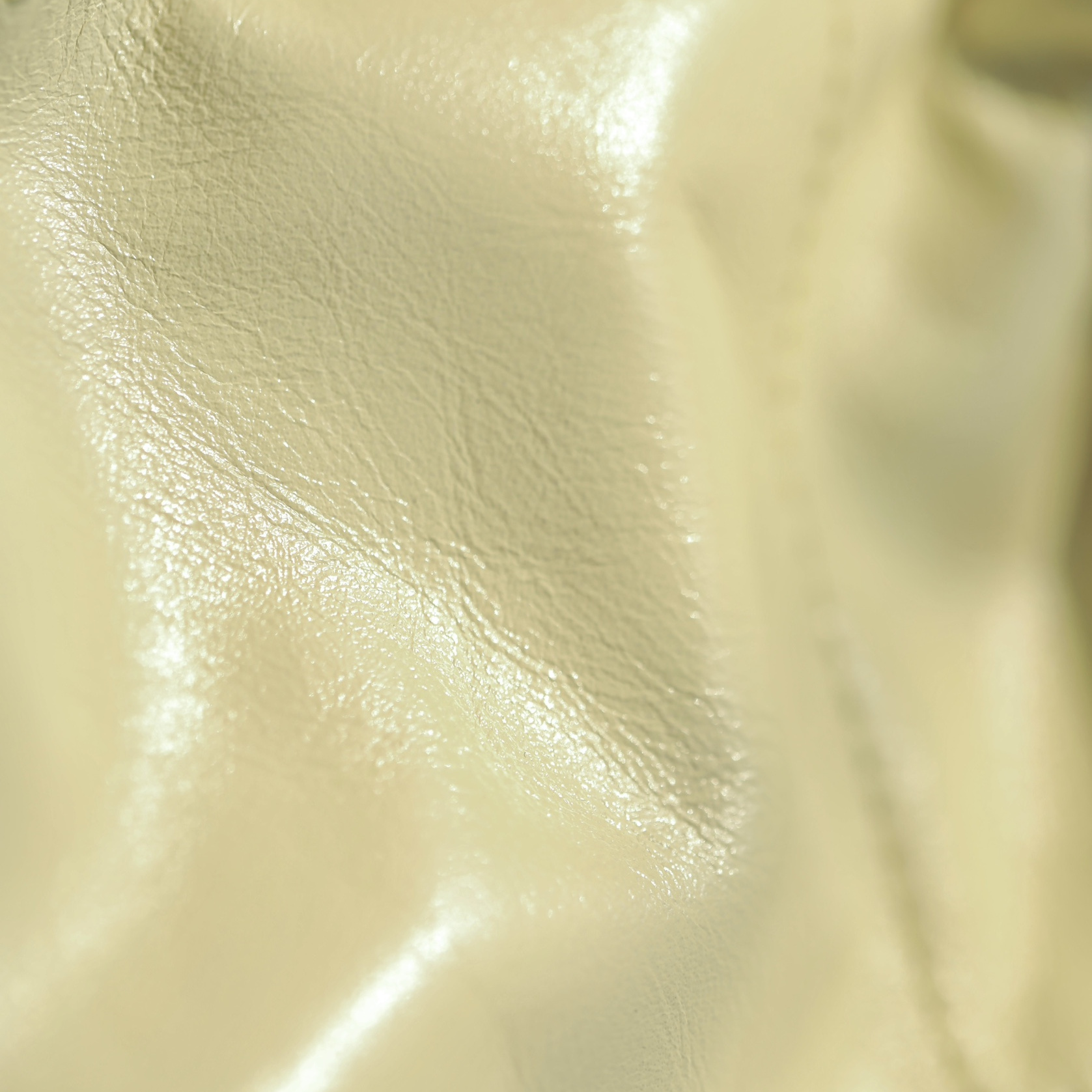 Chanel 香奈兒 Leather Goods