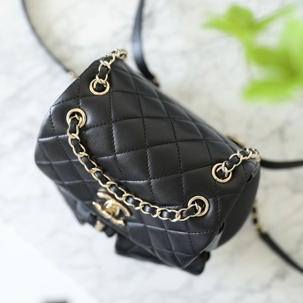 Chanel 香奈兒 Leather Goods