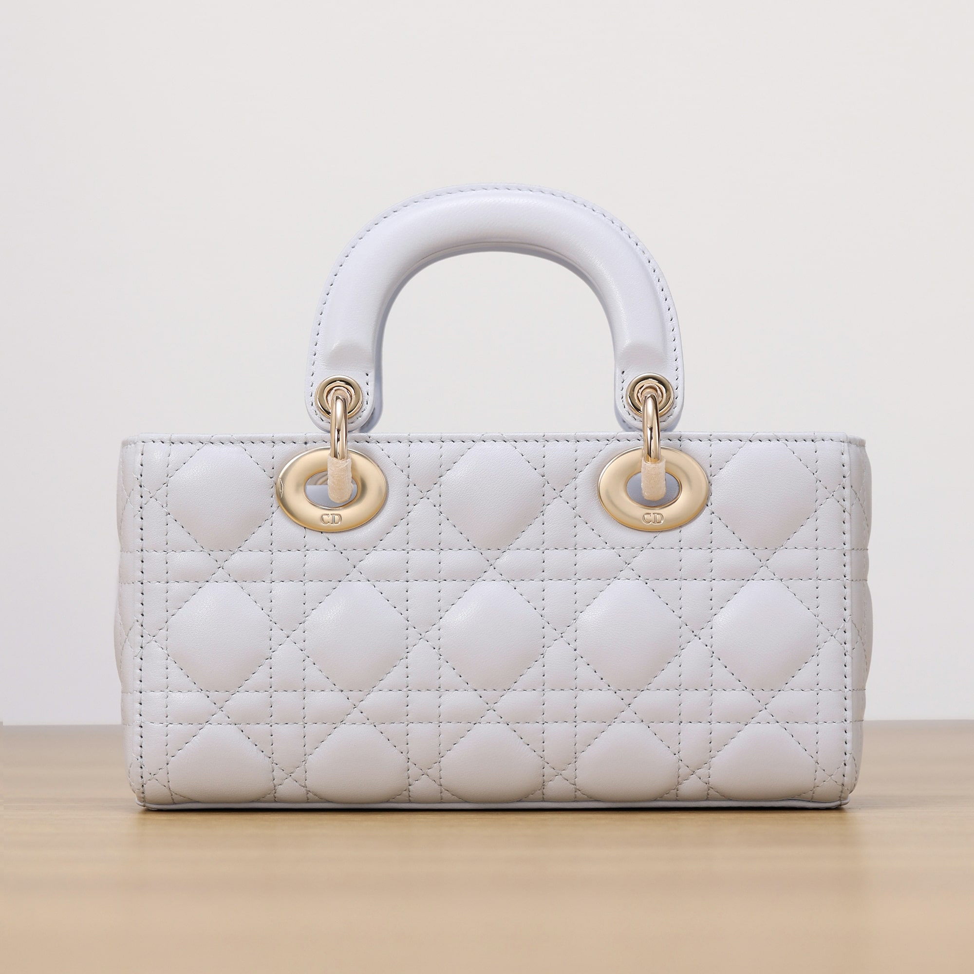 Dior 迪奧 Leather Goods