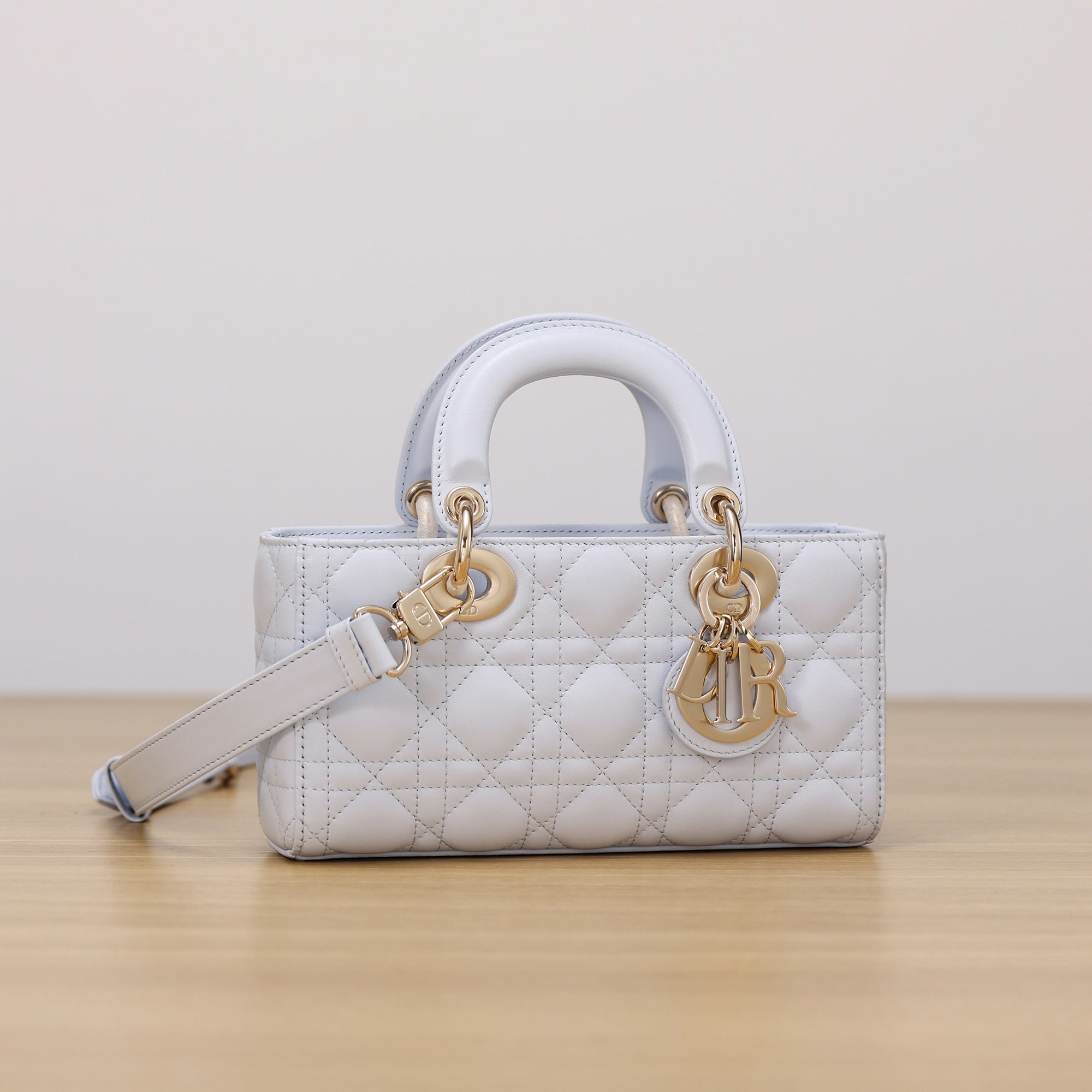 Dior 迪奧 Leather Goods