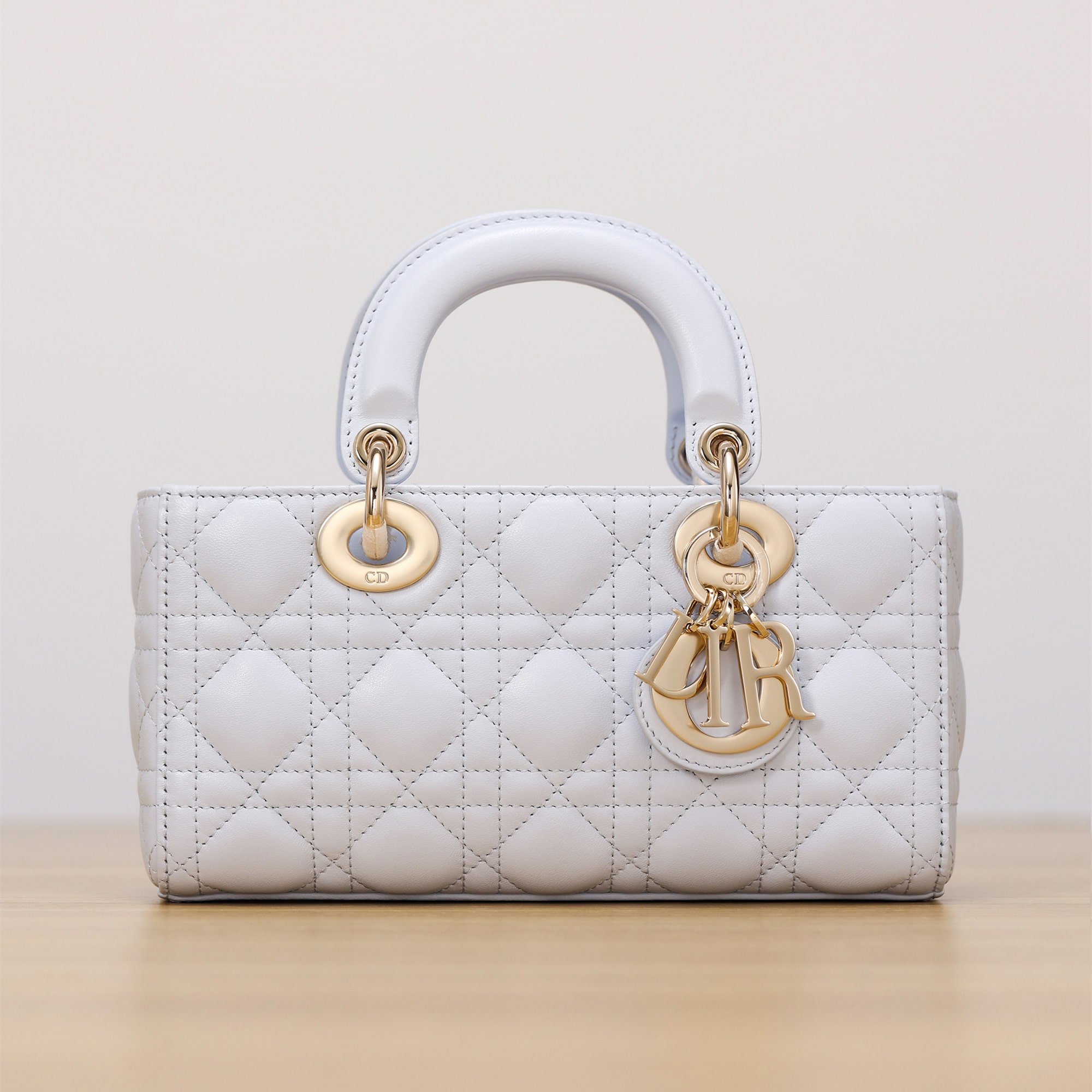 Dior 迪奧 Leather Goods