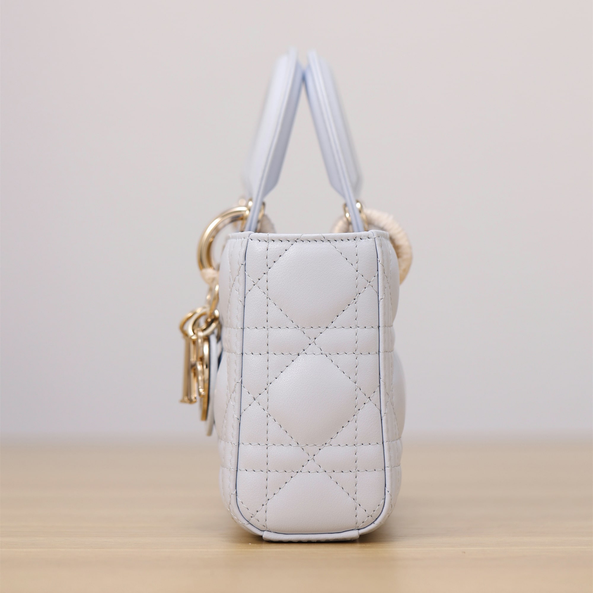 Dior 迪奧 Leather Goods