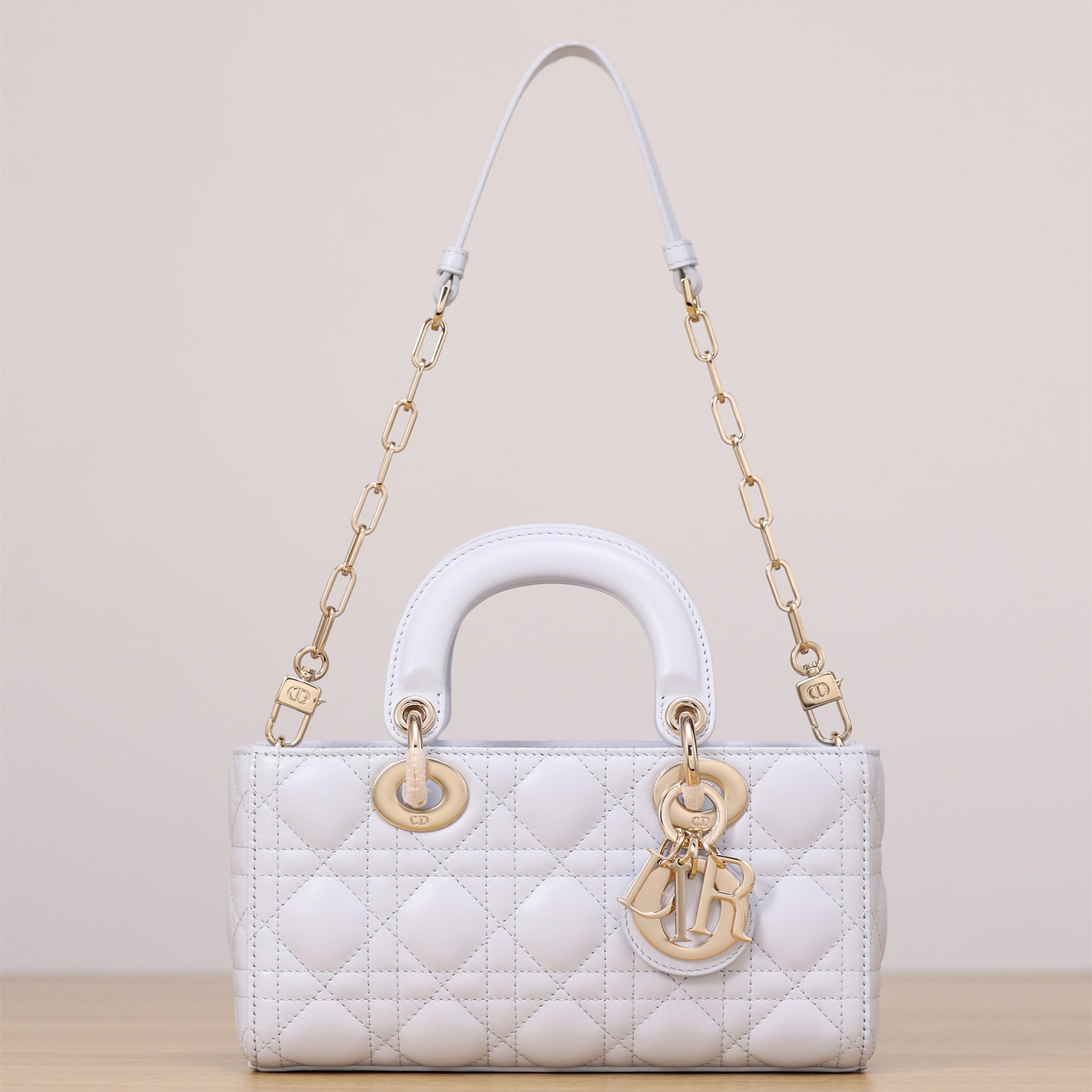 Dior 迪奧 Leather Goods