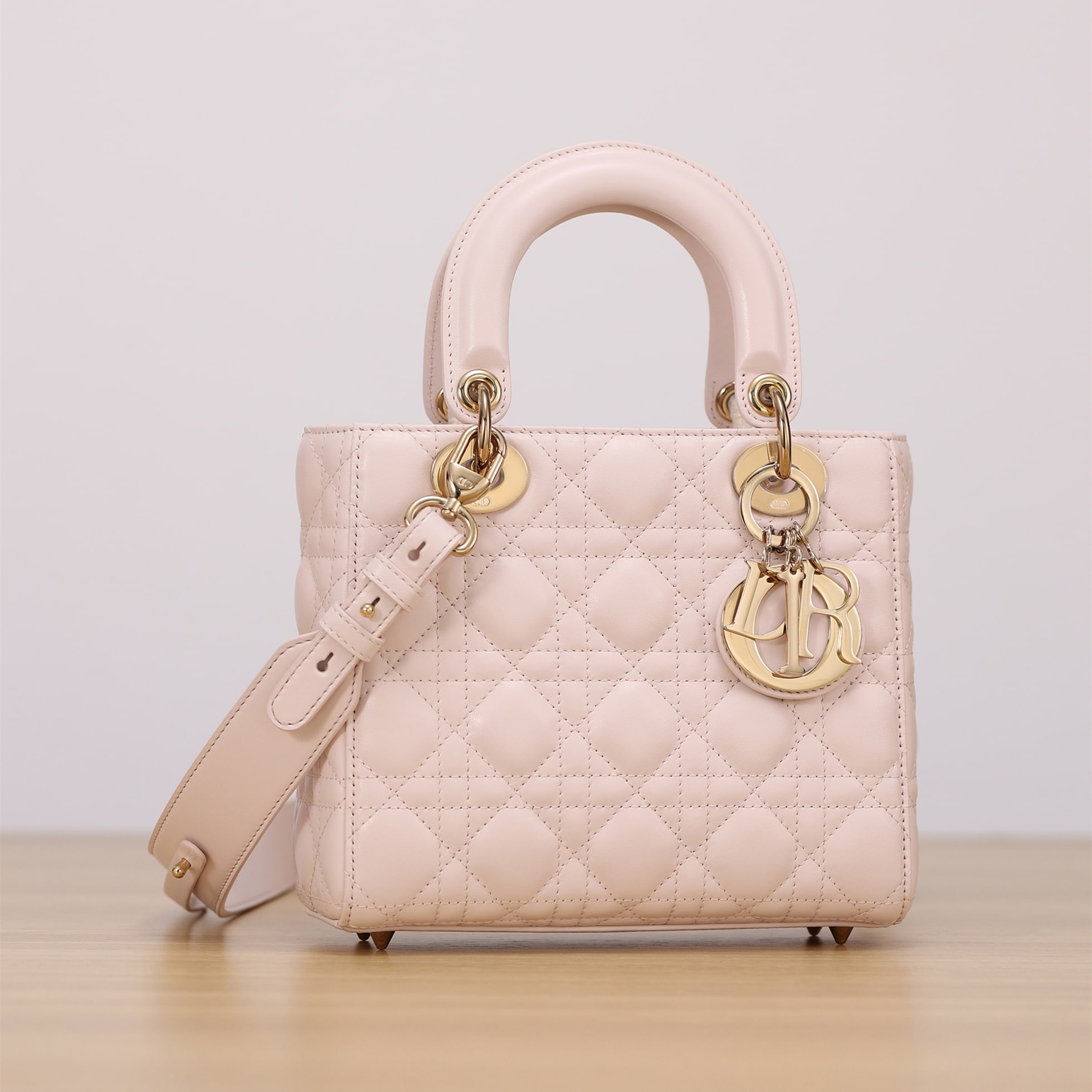 Dior 迪奧 Leather Goods