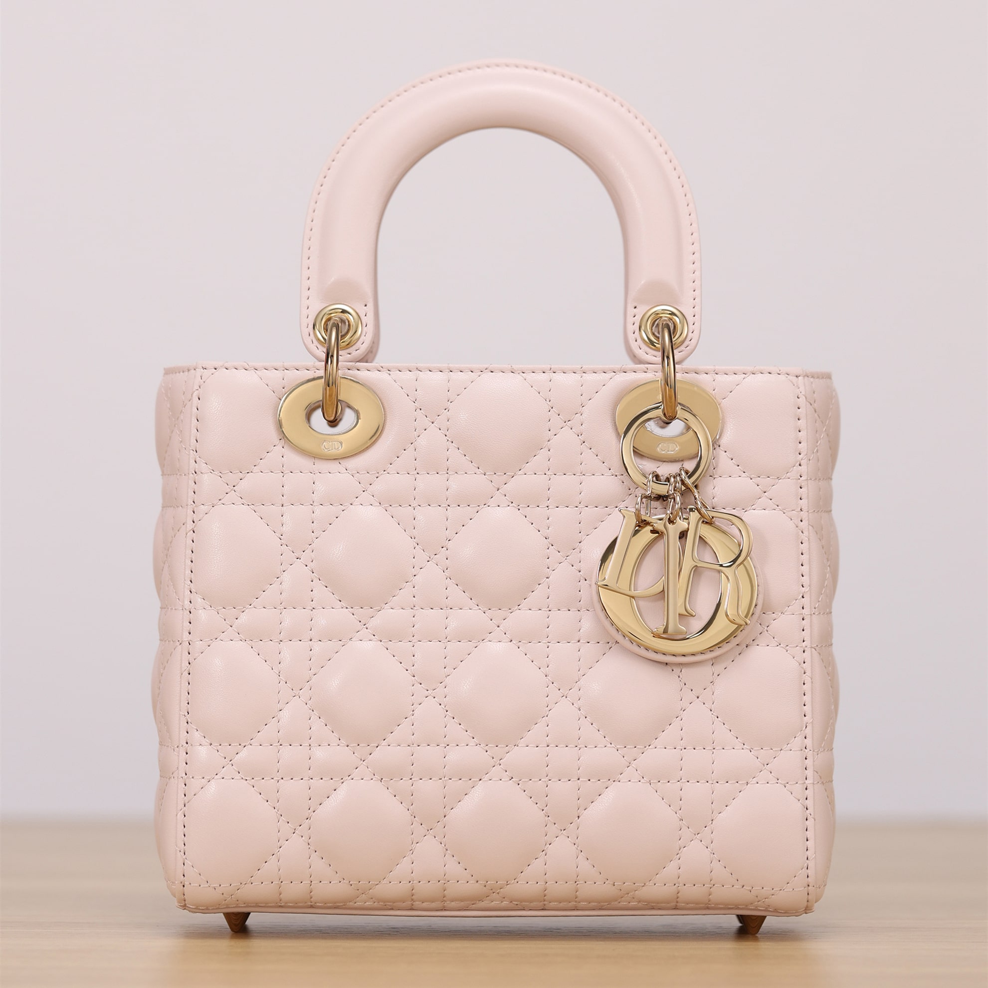 Dior 迪奧 Leather Goods