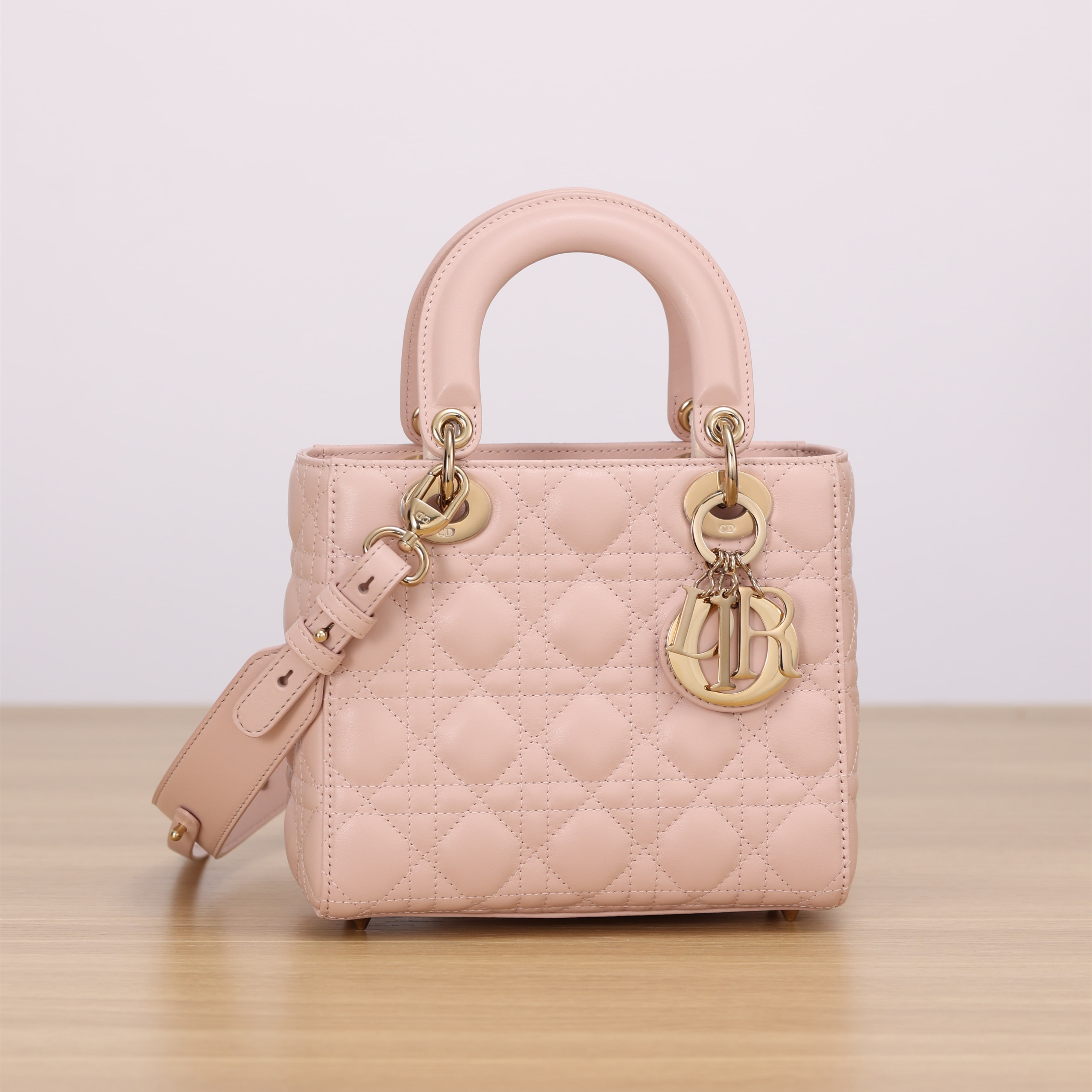 Dior 迪奧 Leather Goods
