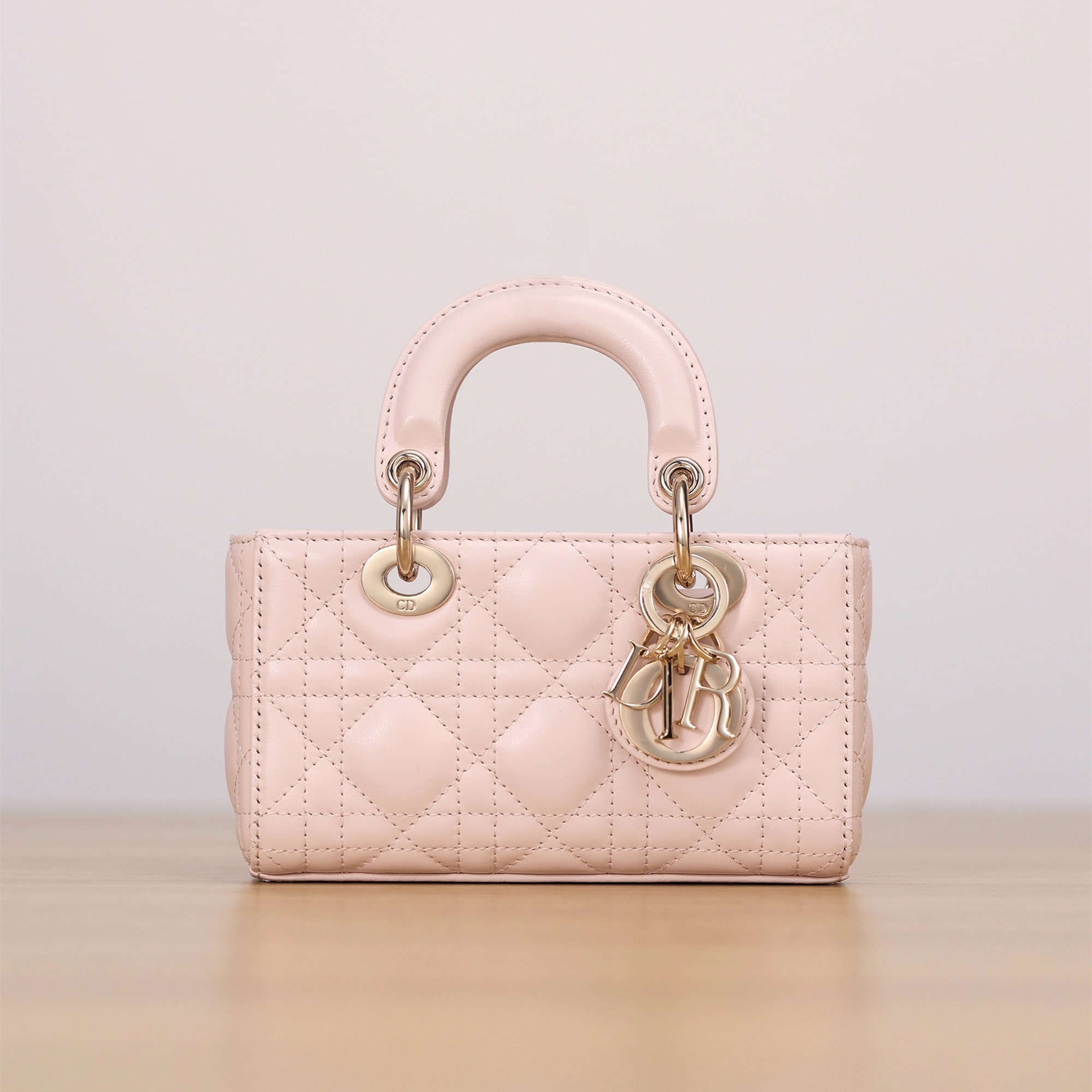 Dior 迪奧 Leather Goods