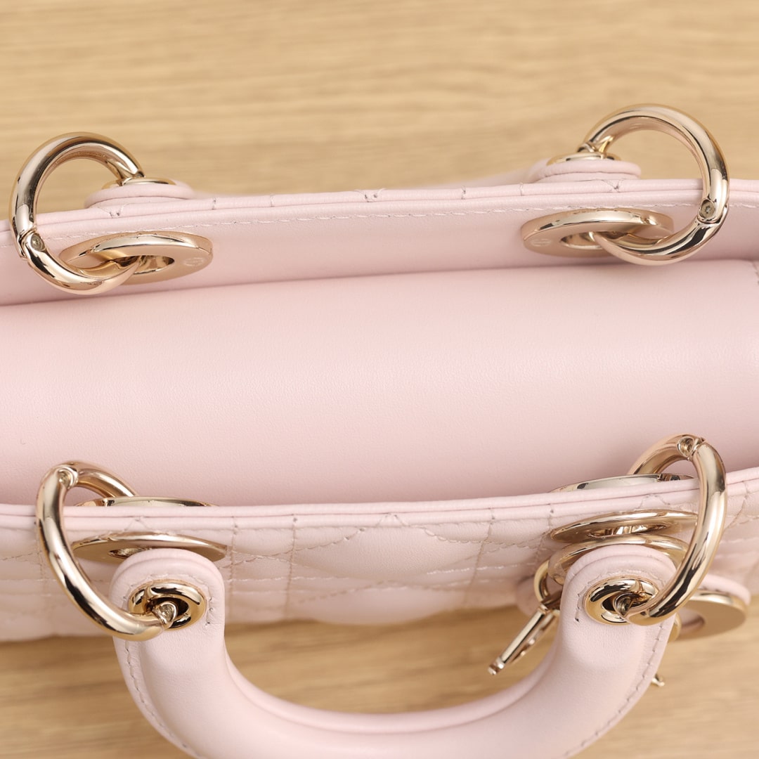 Dior 迪奧 Leather Goods