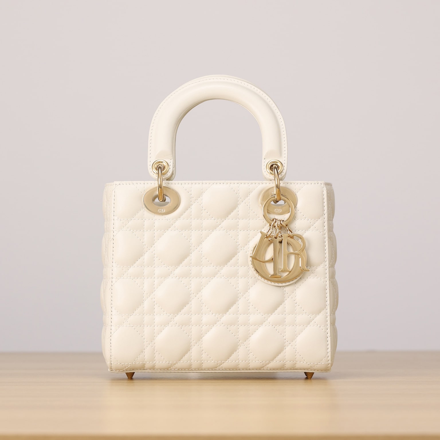 Dior 迪奧 Leather Goods