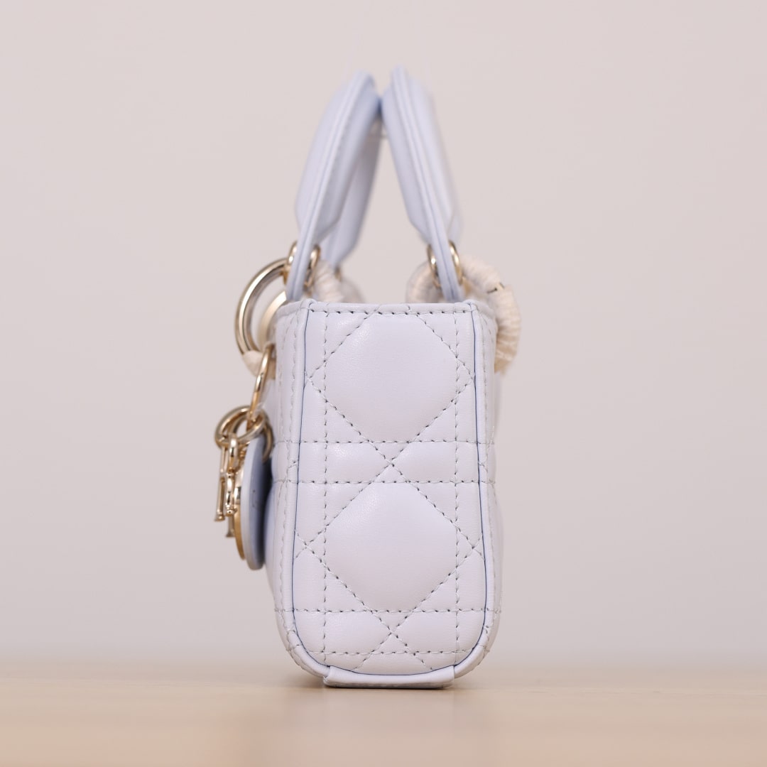 Dior 迪奧 Leather Goods