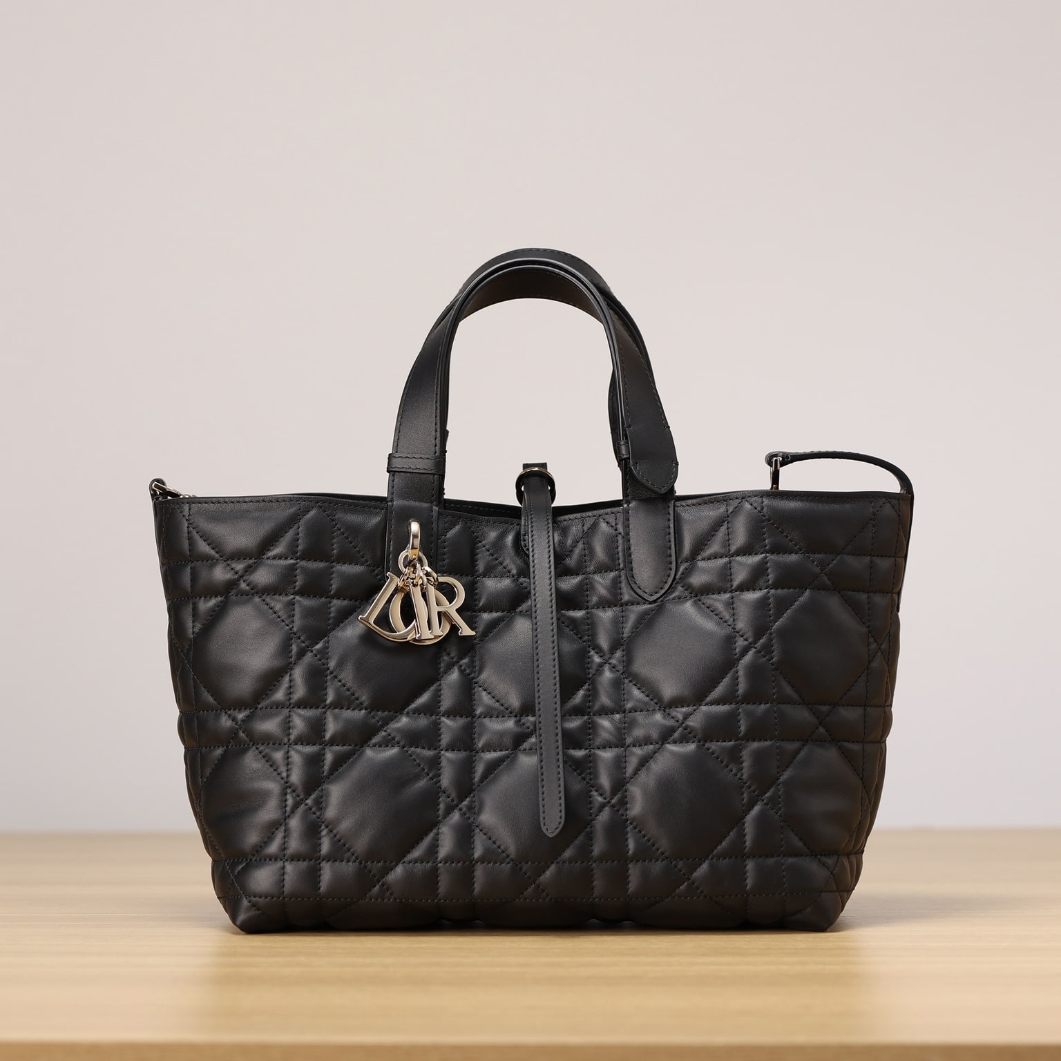 Dior 迪奧 Leather Goods