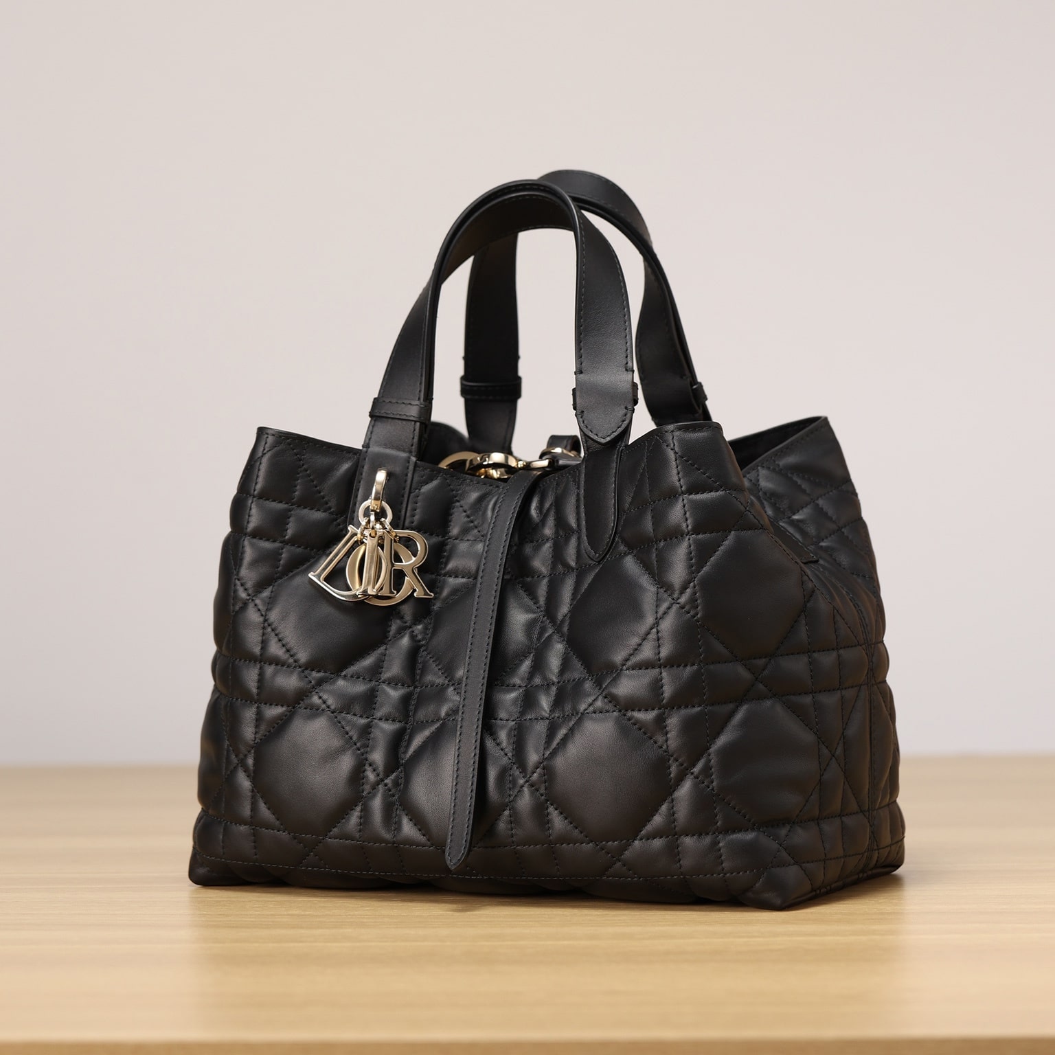 Dior 迪奧 Leather Goods