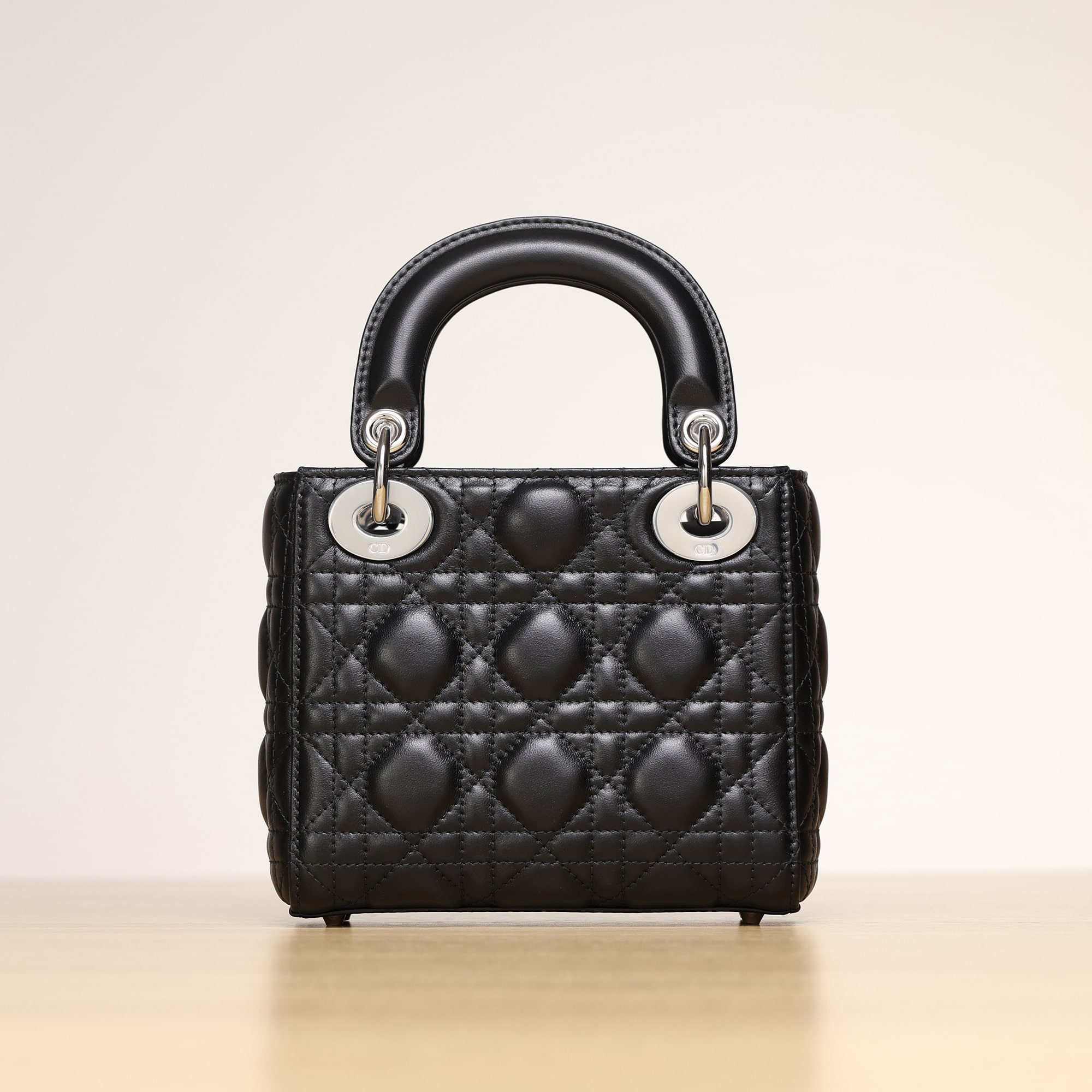 Dior 迪奧 Leather Goods