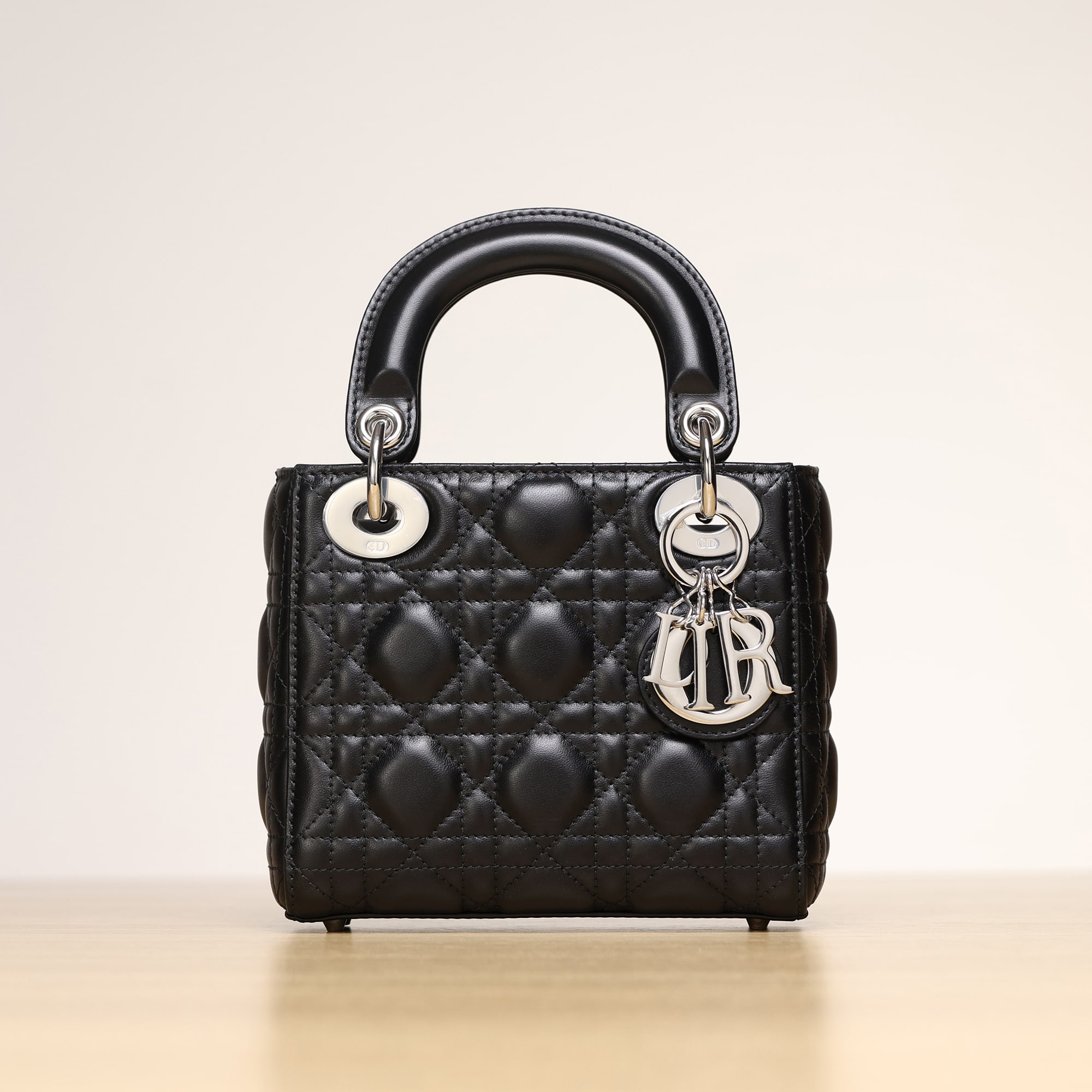 Dior 迪奧 Leather Goods
