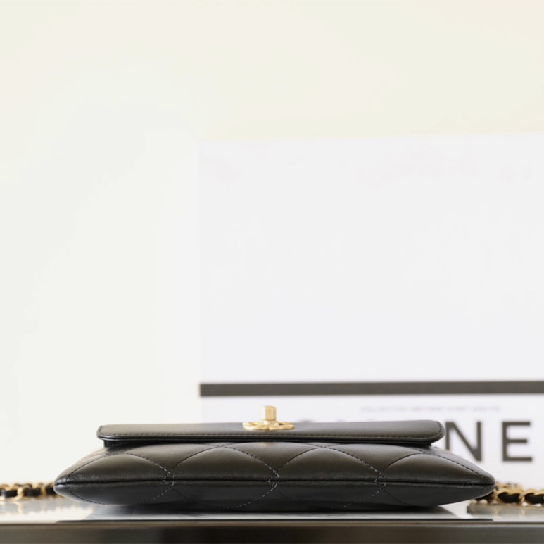 Chanel 香奈兒 Leather Goods