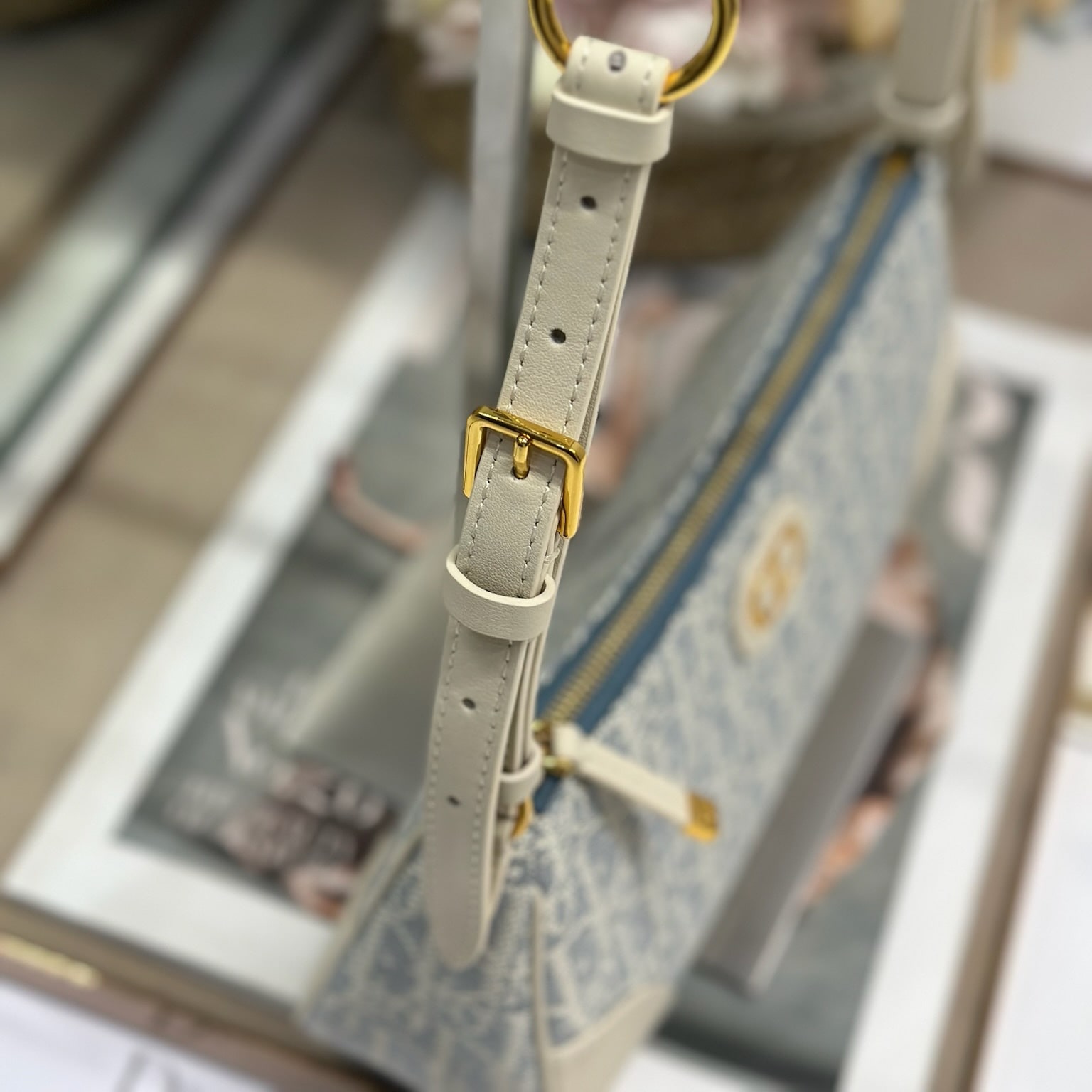 Dior 迪奧 Leather Goods