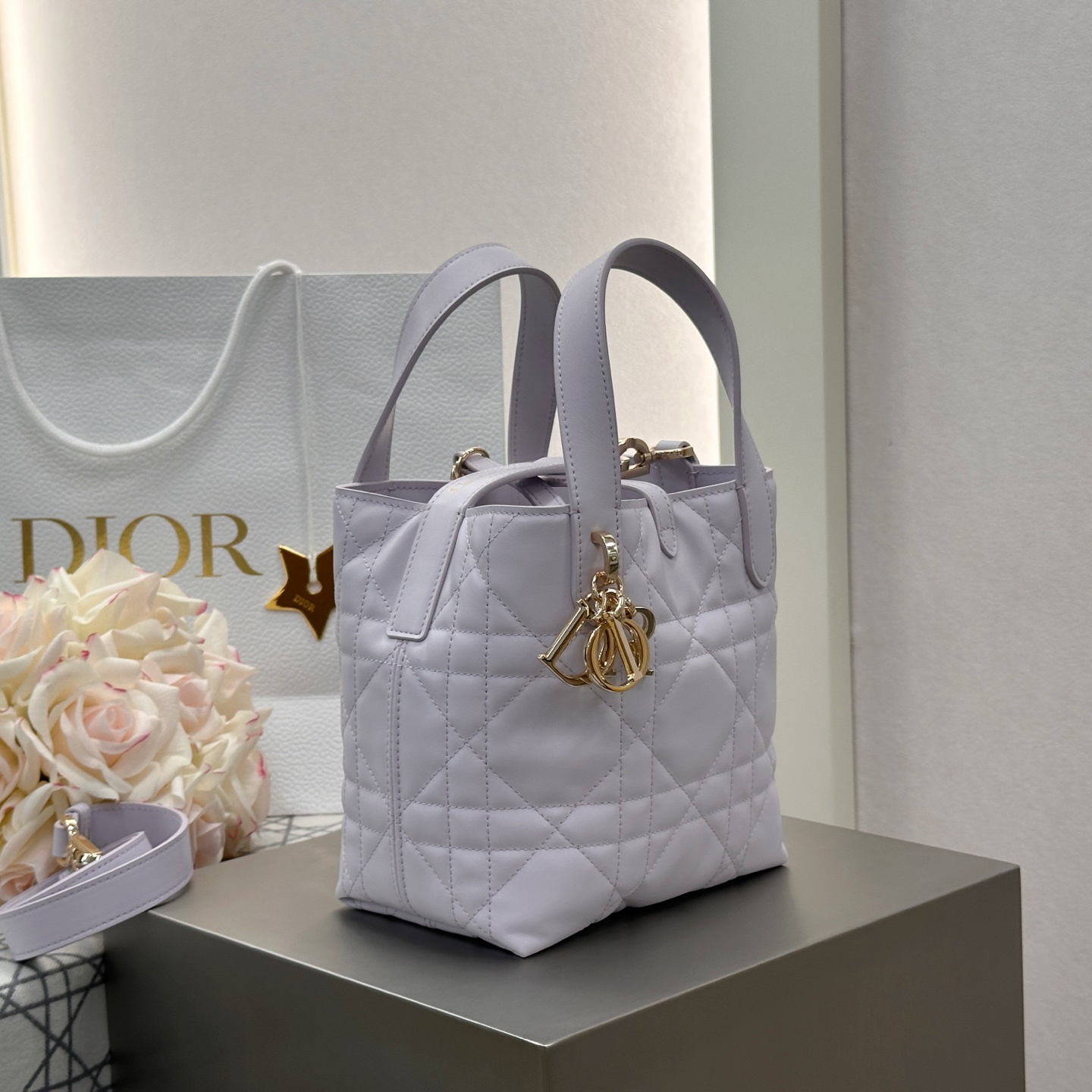Dior 迪奧 Leather Goods